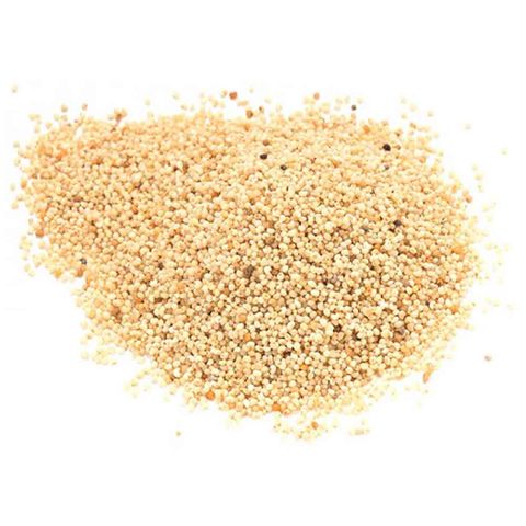 ALTINUSTA BEYAZ HAŞHAŞ 1 KG