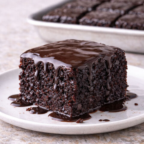 ALTINUSTA ISLAK KEK MİKS 10 KG - 1