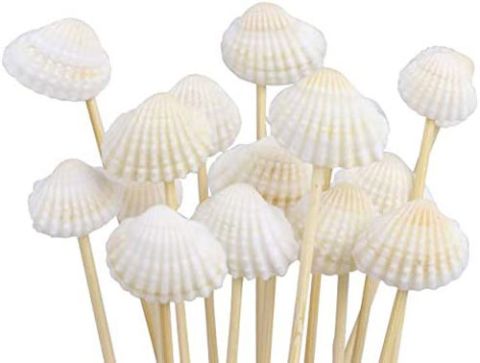BAMBU KÜRDAN DENİZKABUĞU KUR15