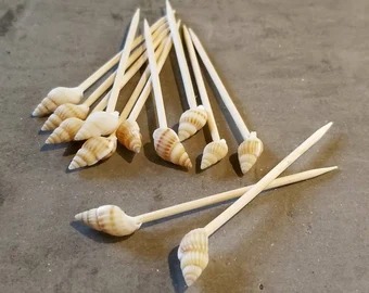 BAMBU KÜRDAN DENİZKABUĞU KUR16