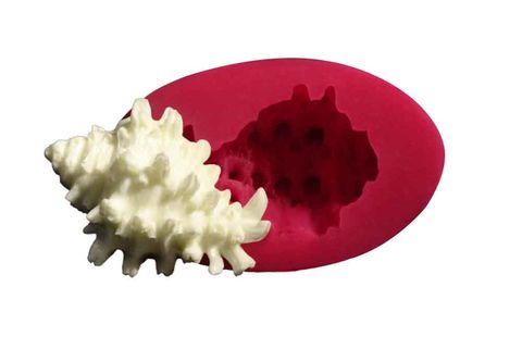 CESİL SİLİKON KALIP - DENİZ KABUĞU -1 (5,5*3,5CM)