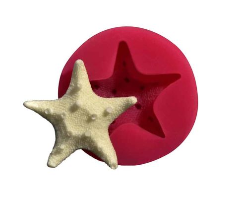 CESİL SİLİKON KALIP - DENİZ YILDIZI (5CM)