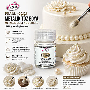 DR GUSTO GIDA DIŞI METALİK TOZ BOYA 10 GR SEDEF - 2