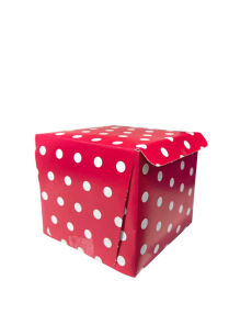 PASTA KUTUSU TEK PASTA - 