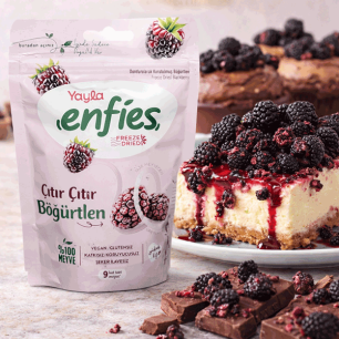 YAYLA ENFİES KURUTULMUŞ BÖĞÜRTLEN 15 GR - 2