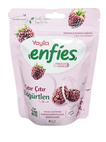 YAYLA ENFİES KURUTULMUŞ BÖĞÜRTLEN 15 GR - 1