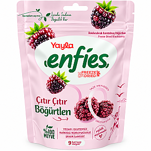 YAYLA ENFİES KURUTULMUŞ BÖĞÜRTLEN 15 GR - YAYLA